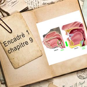 Encadré chapitre 9 #1.jpg