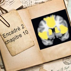 Encadré chapitre 10 #2.jpg