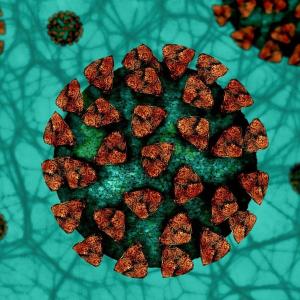 coronavirus-fond-vert.jpg