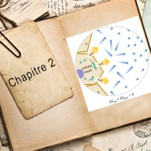 Entropie (chap 2).jpg