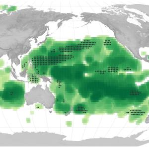 oceans-vert-2023.jpg