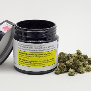 Cannabis_Indica_SQDC.jpg