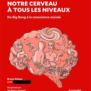 Cerveau couv 24-07-08c - caviardé + petit.jpg