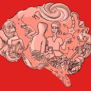 Cerveau-C1-24-06-19d-HR copie.jpg