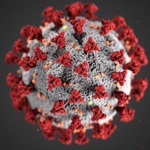 Image d'un coronavirus créée par les Centers for Disease Control and Prevention (CDC)