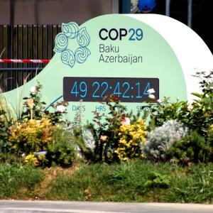 COP29-DP.jpg