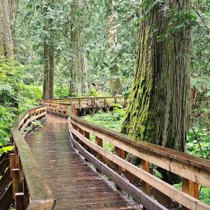 Forêt pluviale tempérée de Chun T'oh Whudujut