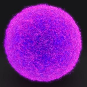 ovule-DP.jpg