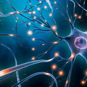 neurones-signaux.jpg