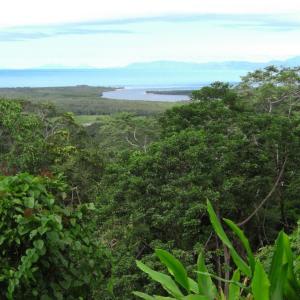 Foret-Daintree-Australie.jpg