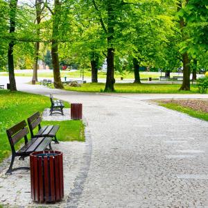ville-parc-verdure.jpg