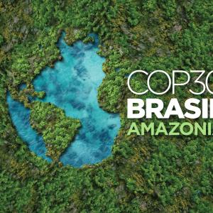 COP30-Bresil-foret.jpg