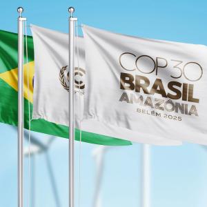 COP30-Bresil.jpg
