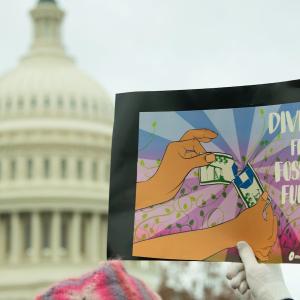 manif-climat-Washington-janv2025.jpg