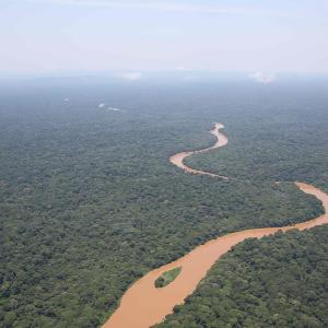 Congo-foret-humide-Epulu.jpg