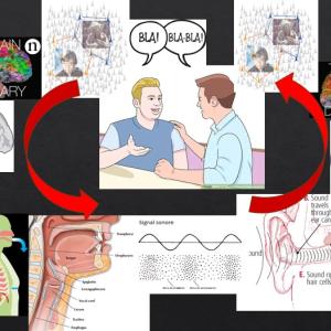 Capture d’écran 2026-01-26 112743.jpg