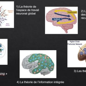 Capture d’écran 2026-03-16 111750.jpg