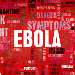 Ebola-nuage-mots.jpg