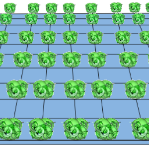 Des dimensions enroulées en espaces de Calabi-Yau.png
