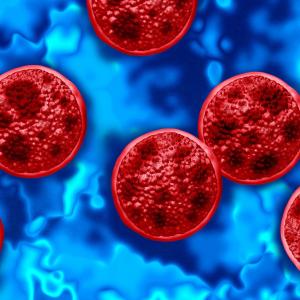 cyclospora-parasite.jpeg