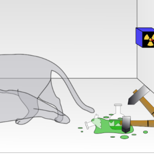 Chat de Schrödinger.png
