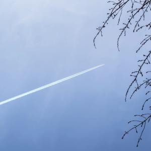 DDR-contrails-nuages.jpeg
