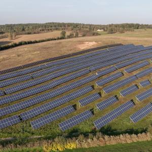 panneaux-solaires-plantations.jpeg