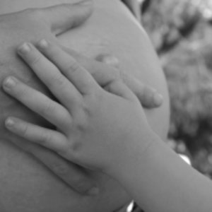 1252249_maternity_photos.jpg