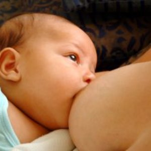 161052_lactation2.jpg