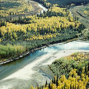 180px-Fall_on_the_Yukon_Flats_NWR.jpg