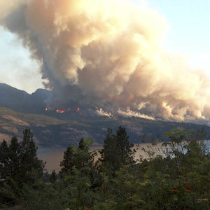 2003_okanagan_fire_rattlesnake.jpg