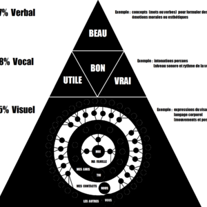 2011_pyramide_des_besoins_de_communication_d_apres_albert_mehrabian.png