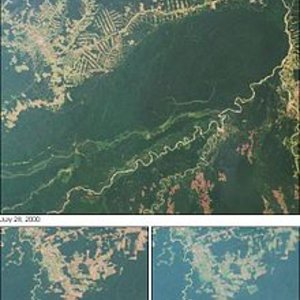 220px-deforestacja_riobranco.jpg