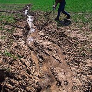 220px-erosion.jpg