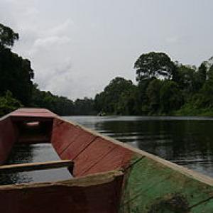 256px-cameroun_-_remontee_du_fleuve-pra-wikimcommons.jpg