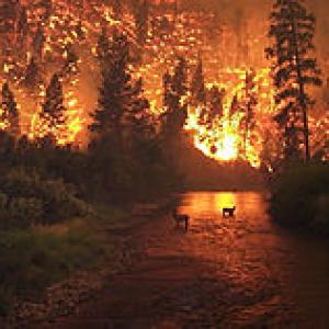 256px-deerfire-2-by_john_mccolgan-public_domain-_via_wikimedia_commons.jpg