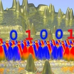 2968667.jpg