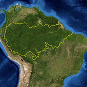 300px-amazon_rainforest.jpg