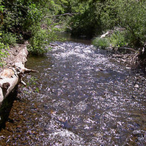 300px-lagunitascreek3365-wikipedia.jpg