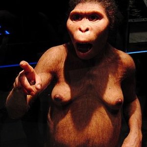 360px-lucy_australopithecus_restoration_model.jpg