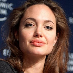 419px-angelina_jolie_at_davos_crop.jpg