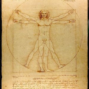 441px-da_vinci_vitruve_luc_viatour.jpg