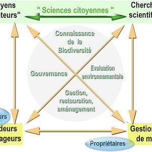 450px-sciences_citoyennes_f_lamiot_2009.jpg