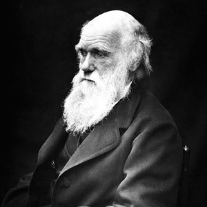 467px-charles_darwin_01.jpg