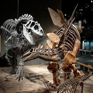 631px-dmsn_dinosaurs.jpg