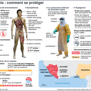 7773852109_symptomes-propagation-et-pays-concernes-ce-qu-il-faut-savoir-du-virus-ebola.jpg