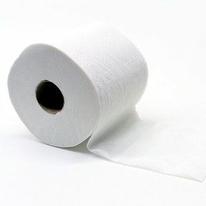 800px-Toiletpapier_Gobran111.jpg