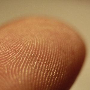 800px-fingerprint_detail_on_male_finger.jpg