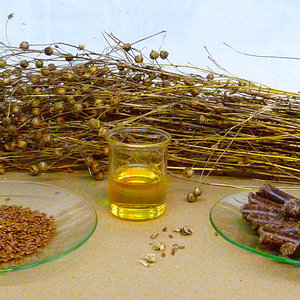 800px-from_flax_to_linseed_oil.jpg