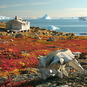 800px-greenland_scoresby-sydkapp2_hg.jpg